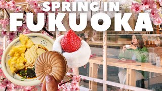 2 Days in Fukuoka, Japan  Cherry Blossom Festival, Cafes, Things to Do, Kyushu Travel Vlog 2024