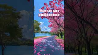 Tövbe Eden Kulun Gördüğü Beş Nimet