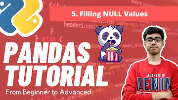 Part 5 - Filling the Null Values | df.fillna() | Pandas Complete Tutorial
