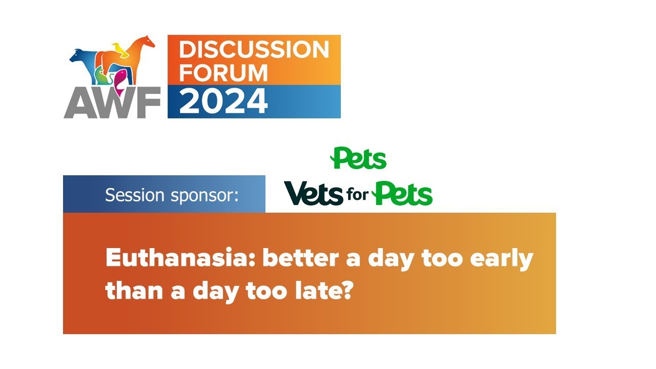 Discussion Forum 2024: Euthanasia: better a day too early than a day too late?