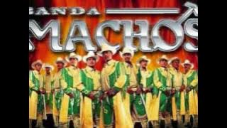 banda machos un indio quiere llorar