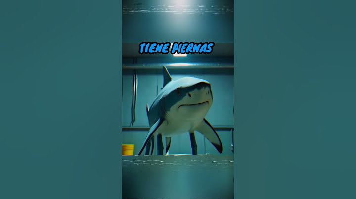 ¿COMO FUE QUE ESTE TIBURON SE CONVIRTIO EN TRALALERO TRALALA?