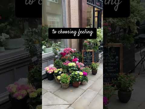 I Am Very VERY Loved Loved Lovable Shortsvideos