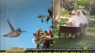 نشيد خريطة الرحمة في شهر رمضان  ه