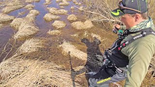 видео: Рыбалка в Мае на разливе реки. КЛЮЁТ ЛУЧШЕ УТРОМ ИЛИ ВЕЧЕРОМ? картинка: Рыбалка в Мае на разливе реки. КЛЮЁТ ЛУЧШЕ УТРОМ ИЛИ ВЕЧЕРОМ?