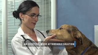 LumenPro Eye Drops for Pet Cataracts