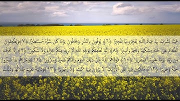 سورة الانسان-للقارئ الشيخ : أحمد محمد عامر.