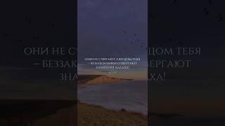 Сура 6 Аль-Ан’ам (32-34). Мухаммад аль-Люхайдан