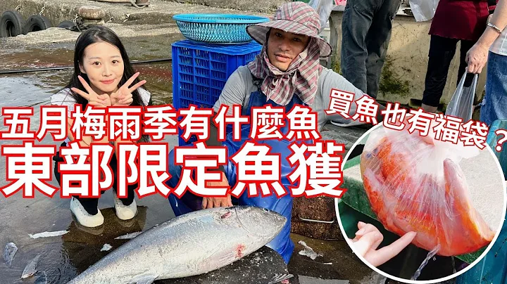 來石城買魚福袋 每一包都有驚喜！東部限定魚種每隻好大隻啊！ - 天天要聞