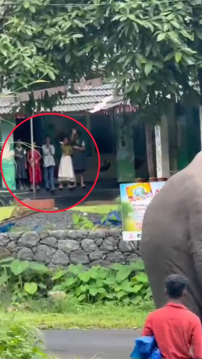 കുട്ടികൾ ചെയ്തത് കണ്ടോ......