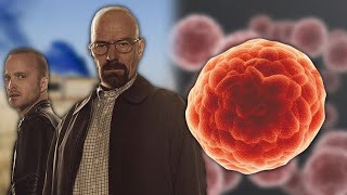 Walter White Vs Cancer. Epic Rap Battles Of History by Contoons 13,774 views 1 year ago 22 seconds