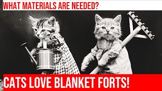 Build a Cat's Cozy Blanket Fort: DIY Tutorial by Meow-sical America 40 views 4 months ago 4 minutes, 25 seconds
