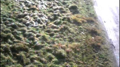 Pim Piloot ONBOARD bij de MULTIPLEX FUNCUB