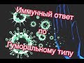 Иммунный ответ по гуморальному типу.