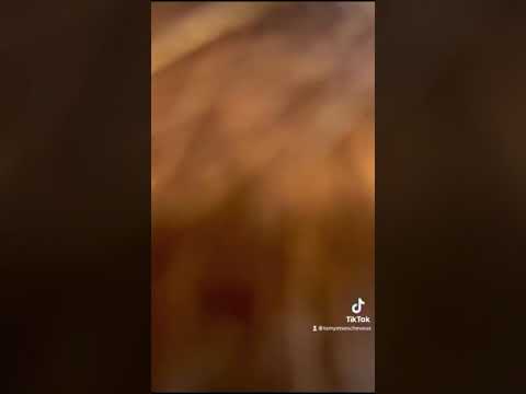 YouTube player