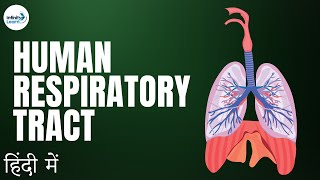 Life Processes - Lesson 14 | Respiration - The Respiratory Tract - in Hindi (हिंदी में )