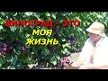 В ГОСТЯХ У С. Г. ВИНОКУРОВА