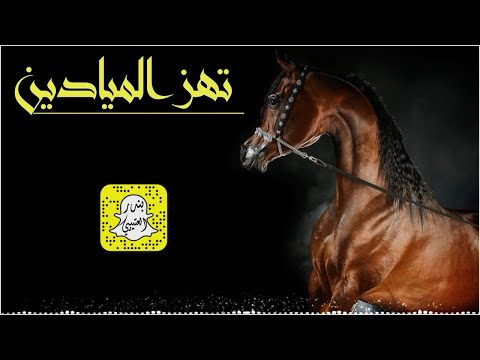 تهز الميادين يالغيد يالترفات يامنبع الزين كلمات عيده المطيري اداء محمد الهوشان 2024 حصريا