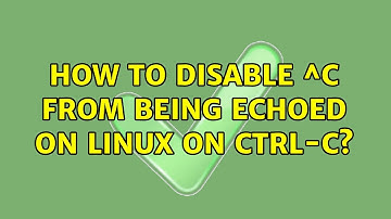 How to disable ^C from being echoed on Linux on Ctrl-C? (2 Solutions!!)