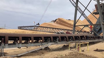 AMECO Group - Circular Stockyard Storage for Pulp & Paper