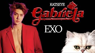 Katseye ‘Gabriela’ - EXO AI Cover