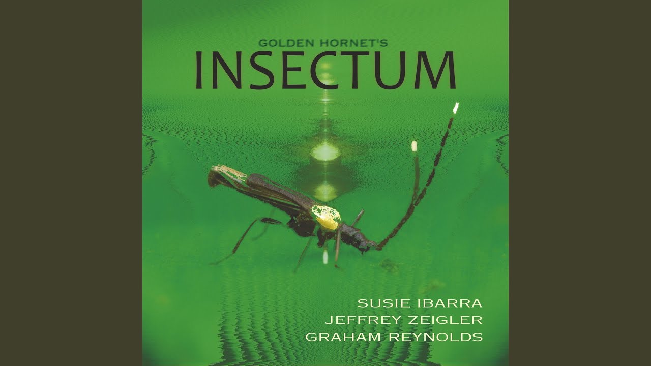 Melolonthinae Larvae