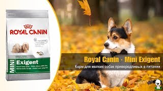Сухой корм для мелких собак привередливых в питании · Royal Canin Mini Exigent Сухой корм для мелких собак привередливых в питании · Royal Canin Mini Exigent