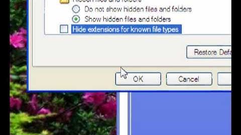 Remove Autorun.inf And Recycler Tutorial Very Easy + Not a cmd step