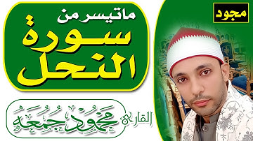 #ما_تيسر_من_سورة_ النحل                                والله انزل من السماء ماء