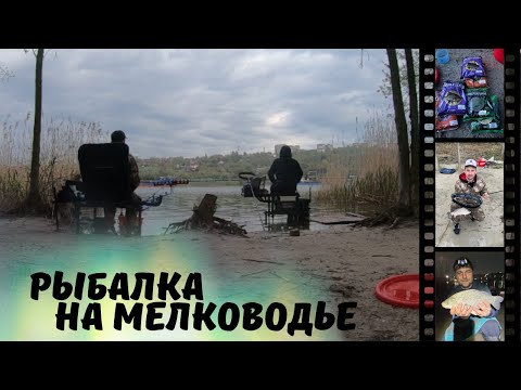 КАРАСИ-КАБАНЫ. БЕШЕННЫЙ КЛЕВ КРУПНОГО КАРАСЯ ВЕСНОЙ НА ФИДЕР. ОТЛИЧНЫЙ УЛОВ. РЫБАЛКА 2023