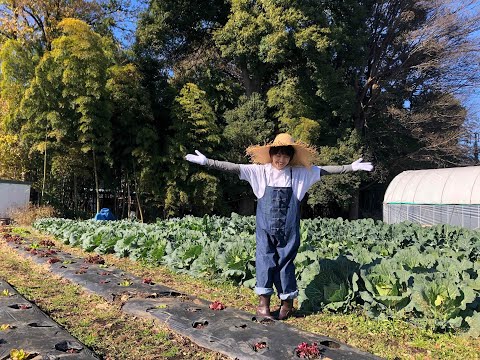 【中川亜紀子 LUCKY FARM + 】夏だ！祭りだ！ラッキーファーム感謝祭！