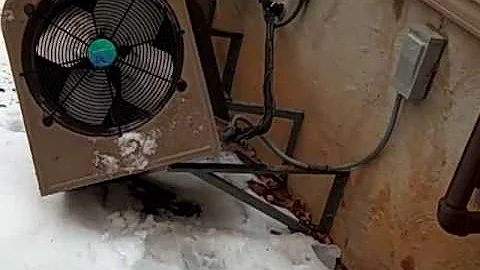 Video 10