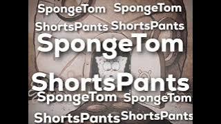 SpongeTom ShortPants - Christmas Who? Intro Version