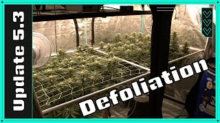 Update 5.3 | Defoliation for Increase Yield!