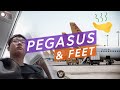 Stinky Feet at 36000 Feet: Pegasus 737 - Riyadh to Istanbul