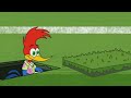 Fútbol de Vacaciones | El Pájaro Loco | Video para niños | WildBrain Niños