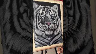 White Tiger 🐯 painting detailing process #shorts #whitetiger #painting #detailing #process