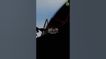 اسلام صبحي ♥️ ايات من سورة (النمل) القرءان الكريم راحة نفسية لا توصف🌕♥️