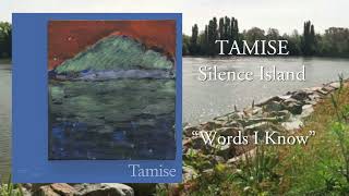 Tamise - Words I Know [OFFICIAL AUDIO]
