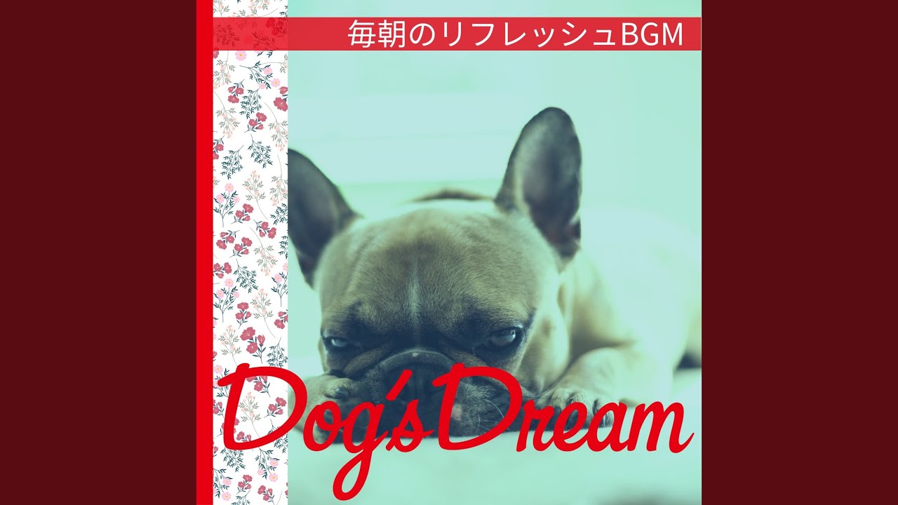 Quiet Reflections at Daybreak