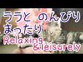 【ボ～ッと見🌸】43.ララとのんびりまったりな時間／Relaxing and leisurely time with Lala