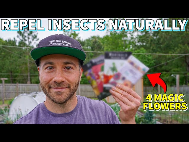 4 Flowers That REPEL INSECT PESTS I'm Planting NOW [And 1 To Avoid] class=