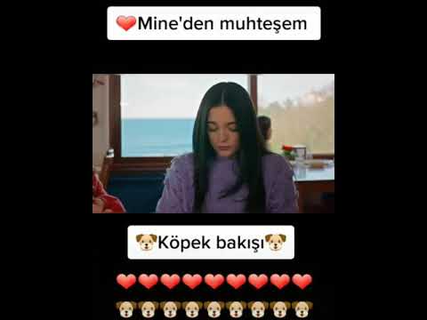Mine Den Cok Tatli Kopek Bakisi Kuzey Yildizi Ilk Ask Youtube
