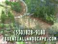 Landscape Maintenance Chico Ca