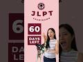 Study for the JLPT with me on my YouTube channel!!🐶👩🏻‍🏫 #jlptn4 #jlptn5 #jlpt #jlptn5grammar