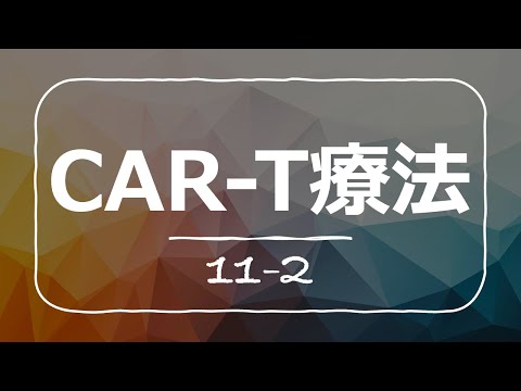 CAR T療法の基礎