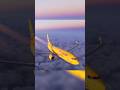 B738 - SBTE TO SBBR | #eusoufly em #Twitch