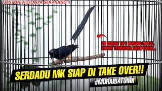 Point utamanya MB SERDADU Bukan burung nakal! siapapun yang pengang ini pasti jalan