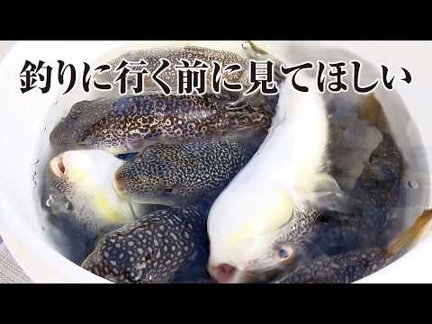 がお　極技カットウフグ KYOKUGI Kattou Fugu Amazon | AbuGarcia (アブガルシア) 黒船 カットウ KKFC