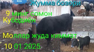 :    10 01 2025    